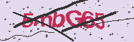 Codice captcha